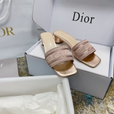 Christian Dior Slippers